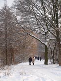 winter